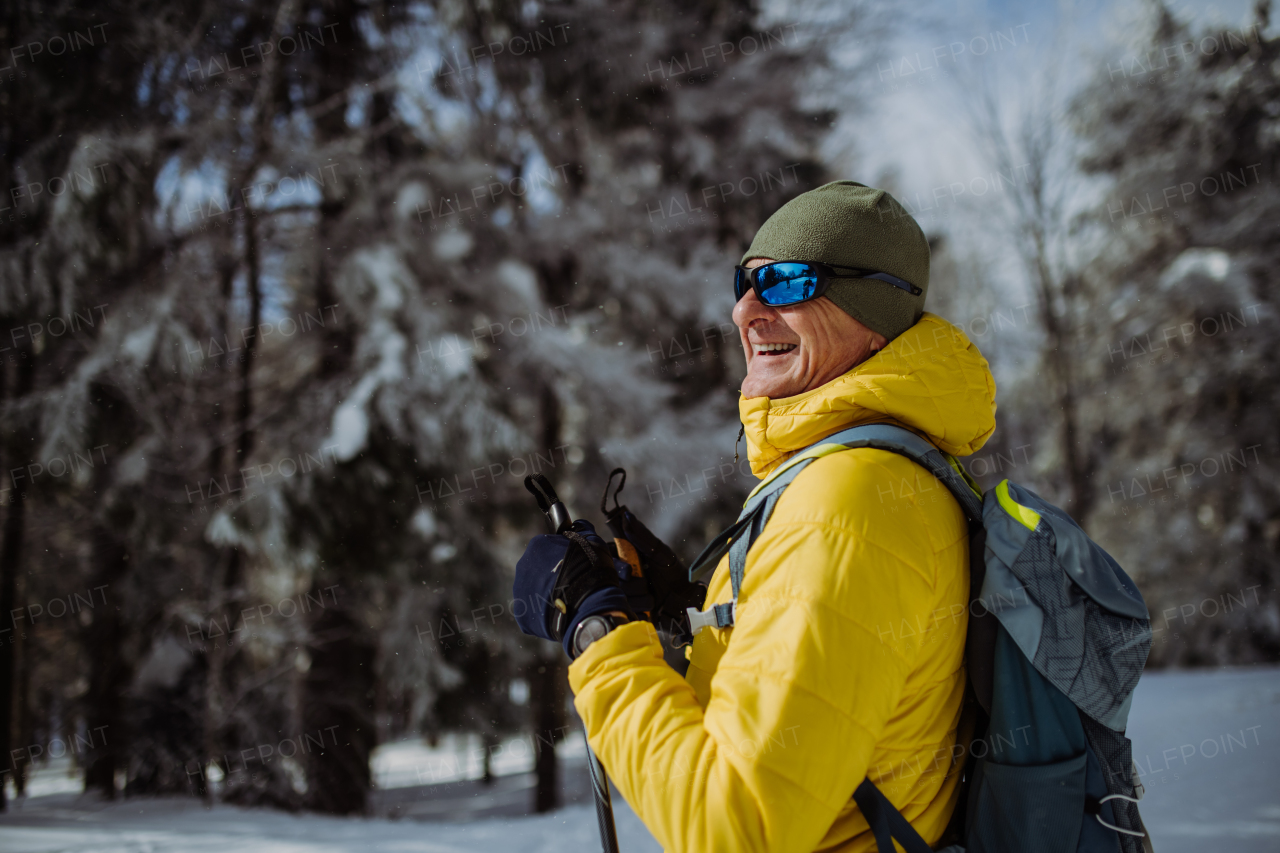 Senior man admiring nature during cross country skiing in forest.