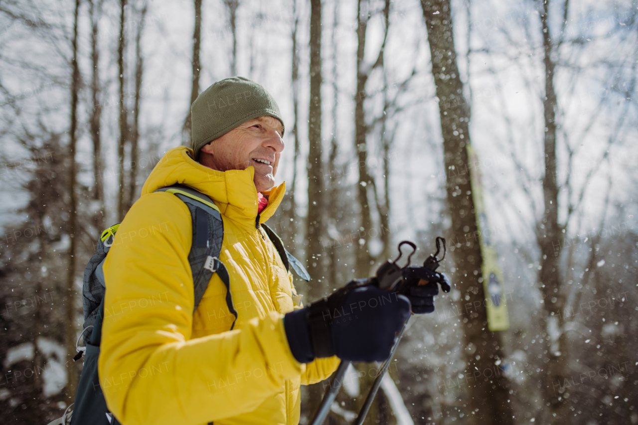 Senior man admiring nature during cross country skiing in forest.