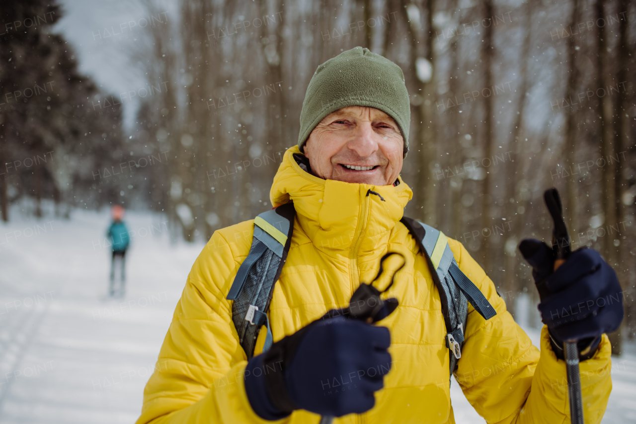 Senior man admiring the nature during cross country skiing in the forest.