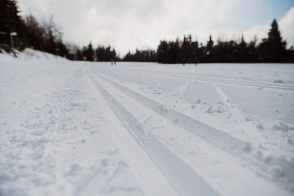 Fresh snow at cross country skiing track.