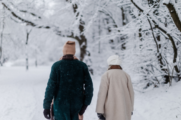 Rear view of elegant senior couple walking in the snowy park, during cold winter snowy day. Elderly couple spending winter vacation in the mountains. Wintry landscape.