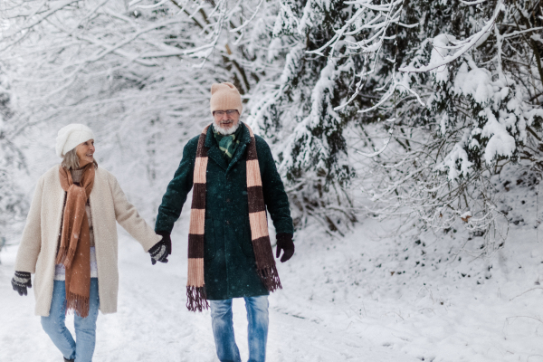 Elegant senior couple walking in the snowy park, during cold winter snowy day. Elderly couple spending winter vacation in the mountains. Wintry landscape.