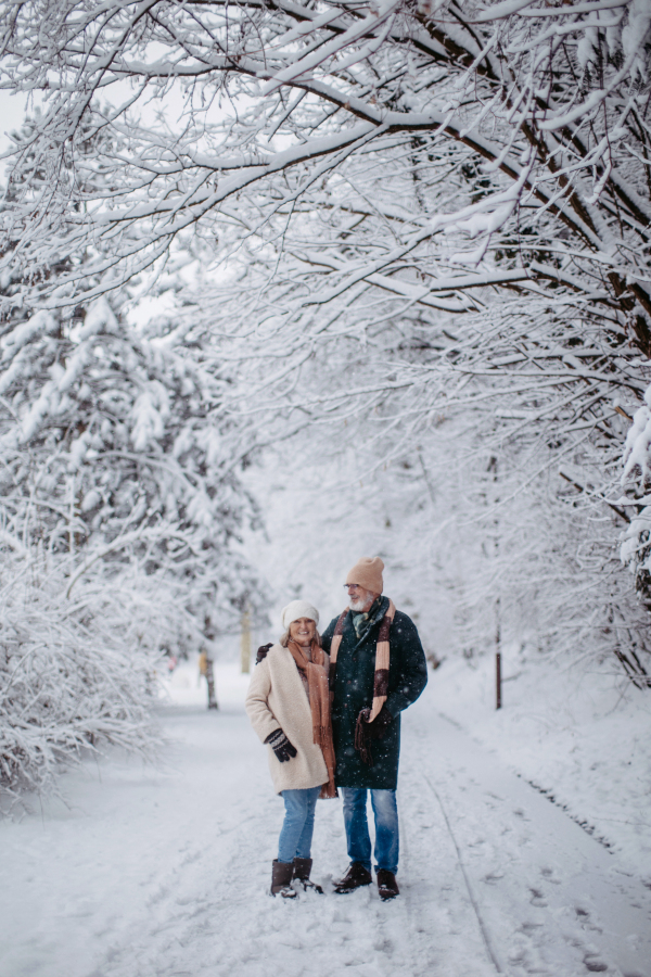 Elegant senior couple walking in the snowy park, during cold winter snowy day. Elderly couple spending winter vacation in the mountains. Wintry landscape.