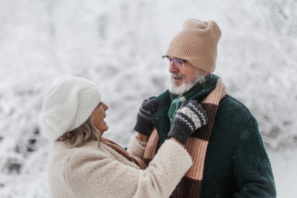 Elegant senior couple walking in the snowy park, during cold winter snowy day. Elderly woman fasten husband's winter coat. Wintry landscape.