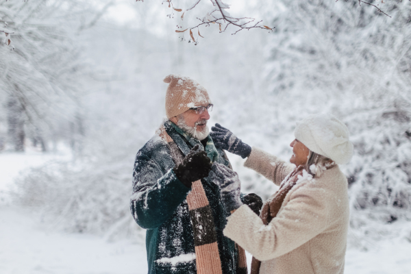 Elegant senior couple walking in the snowy park, during cold winter snowy day. Elderly woman brushing off snow from husband's winter coat. Wintry christmas landscape.