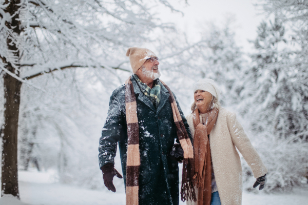 Elegant senior couple walking in the snowy park, during cold winter snowy day. Elderly couple spending winter vacation in the mountains. Wintry landscape.