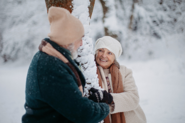 Elegant senior couple standing by a tree in the snowy park, during cold winter snowy day. Elderly couple spending winter vacation in the mountains. Wintry landscape.