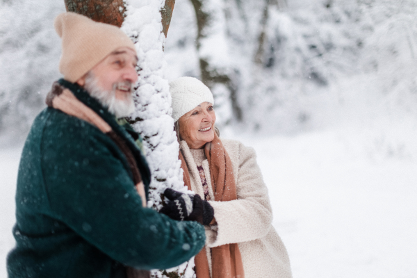 Elegant senior couple standing by a tree in the snowy park, during cold winter snowy day. Elderly couple spending winter vacation in the mountains. Wintry landscape.