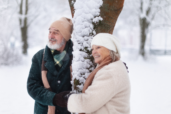 Elegant senior couple standing by a tree in the snowy park, during cold winter snowy day. Elderly couple spending winter vacation in the mountains. Wintry landscape.