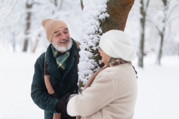 Elegant senior couple standing by a tree in the snowy park, during cold winter snowy day. Elderly couple spending winter vacation in the mountains. Wintry christmas landscape.