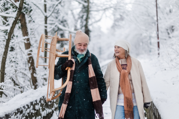 Elegant senior couple walking with sledge in the snowy park, during cold winter snowy day. Elderly couple spending winter vacation in the mountains. Wintry landscape.