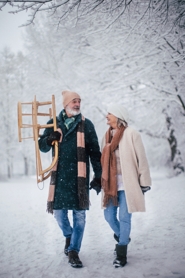 Elegant senior couple walking with sledge in the snowy park, during cold winter snowy day. Elderly couple spending winter vacation in the mountains. Wintry landscape.