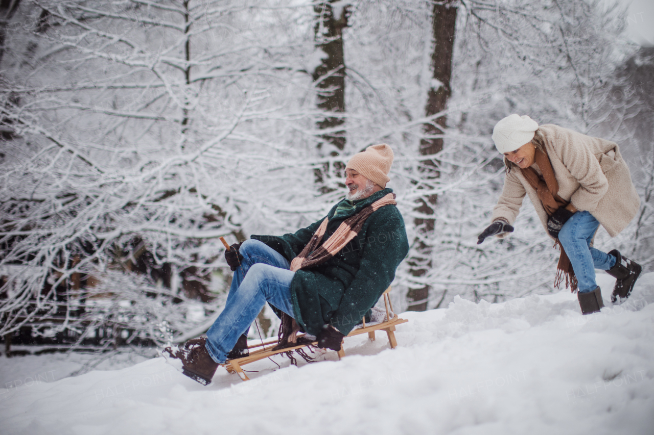 Senior couple having fun during cold winter day, sledding down the hill. Senior man on sled. Elderly couple spending winter vacation in the mountains. Wintry landscape.