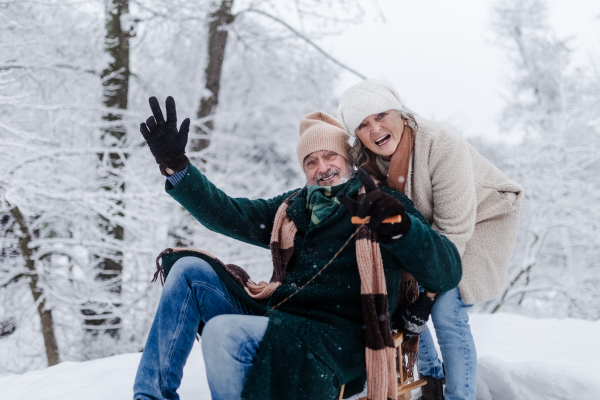 Senior couple having fun during cold winter day, sledding down the hill. Senior man on sled. Elderly couple spending winter vacation in the mountains. Wintry landscape.