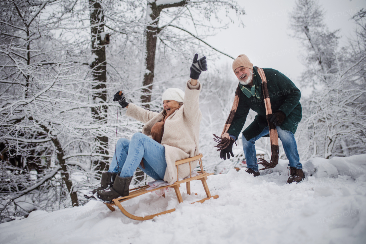 Senior couple having fun during cold winter day, sledding down the hill. Senior woman on sled. Elderly couple spending winter vacation in the mountains. Wintry landscape.