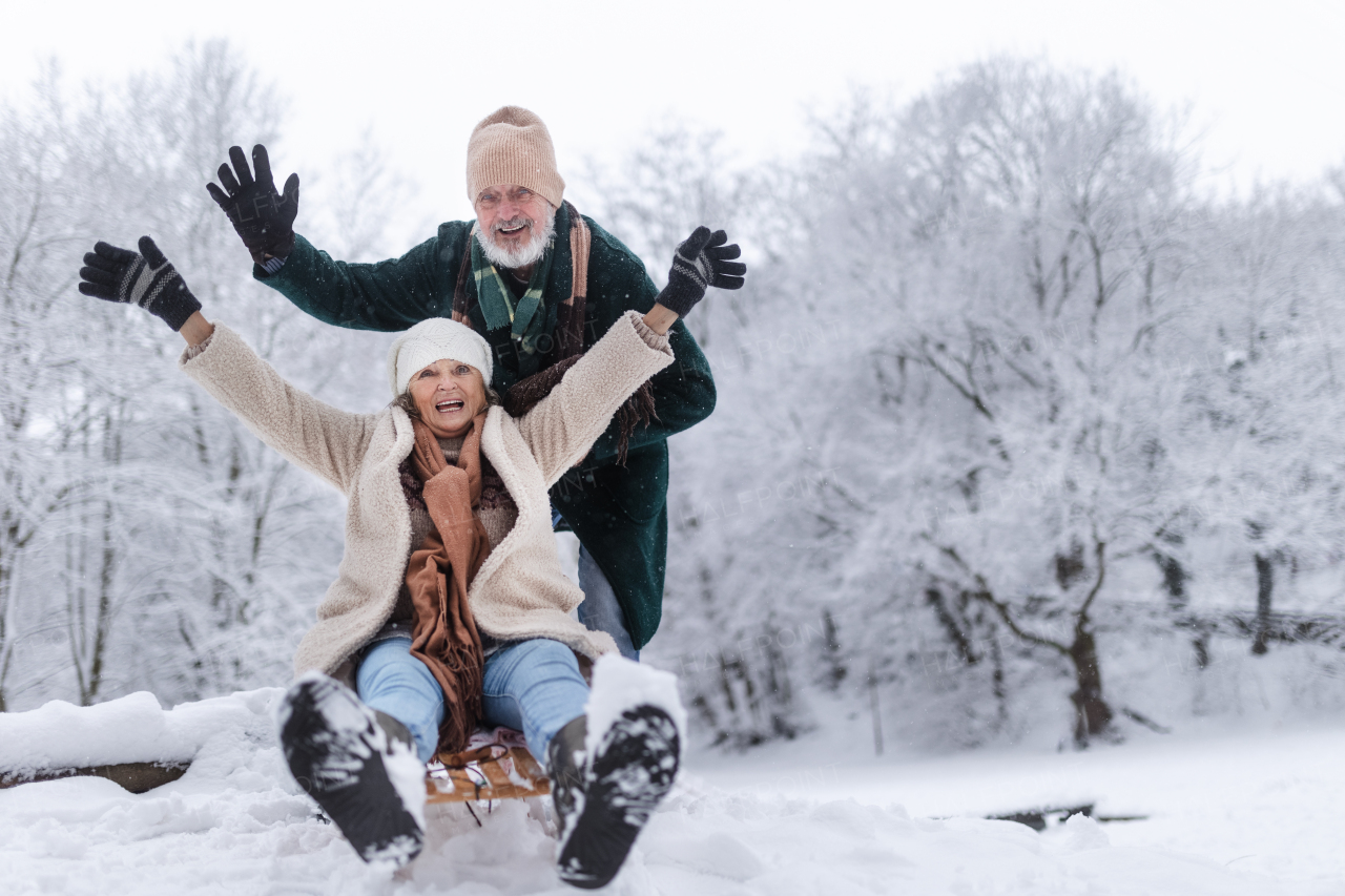 Senior couple having fun during cold winter day, sledding down the hill. Senior woman on sled. Elderly couple spending winter vacation in the mountains. Wintry landscape.