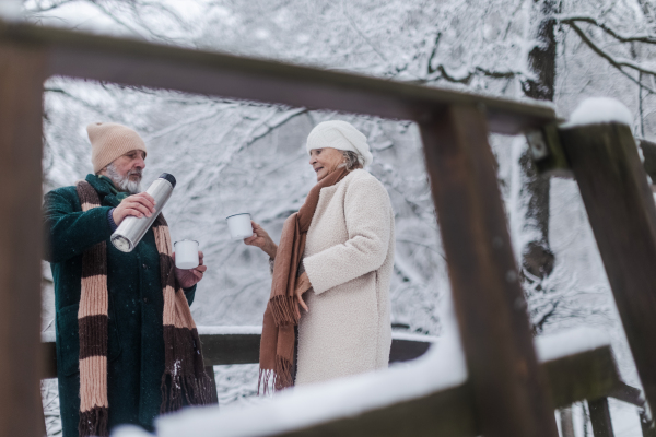 Elegant senior couple having hot tea outdoors, during cold winter snowy day. Elderly couple spending winter vacation in the mountains. Wintry landscape.