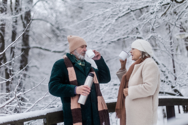 Elegant senior couple having hot tea outdoors, during cold winter snowy day. Elderly couple spending winter vacation in the mountains. Wintry landscape.