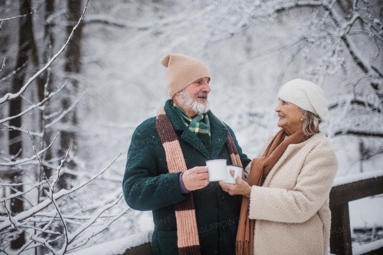 Elegant senior couple having hot tea outdoors, during cold winter snowy day. Elderly couple spending winter vacation in the mountains. Wintry landscape.