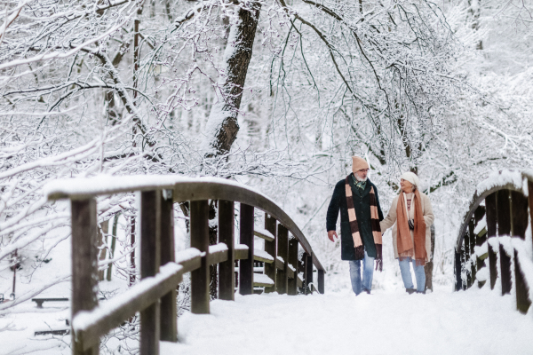 Elegant senior couple walking in the snowy park, during cold winter snowy day. Elderly couple spending winter vacation in the mountains. Wintry landscape.