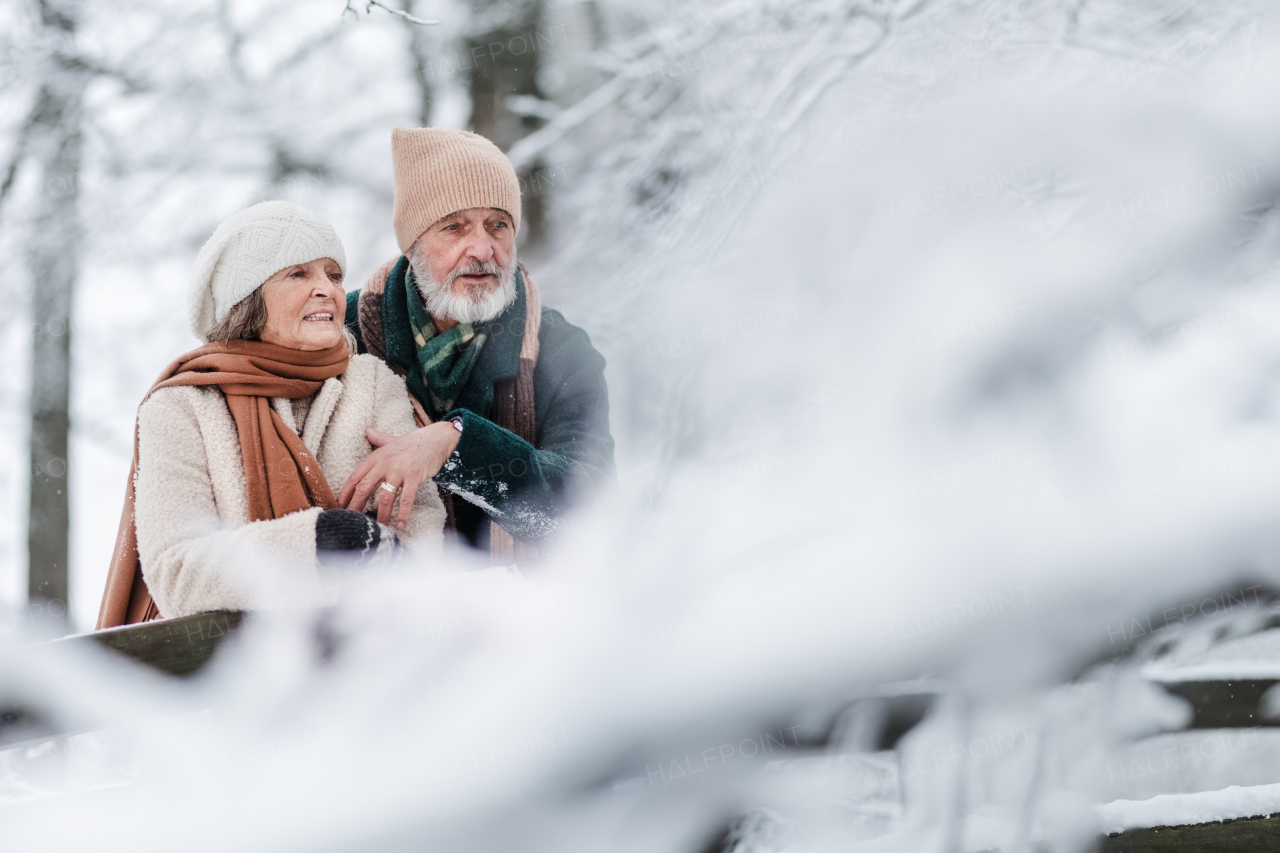 Elegant senior couple walking in the snowy park, during cold winter snowy day. Elderly couple enjoying view on frozen lake from bridge. Wintry landscape.