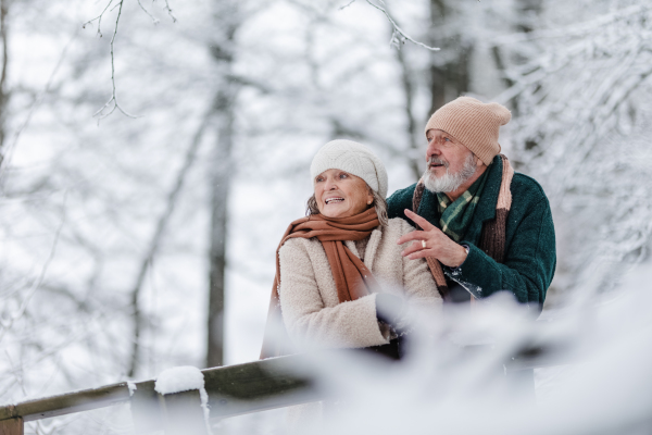 Elegant senior couple walking in the snowy park, during cold winter snowy day. Elderly couple enjoying view on frozen lake from bridge. Wintry landscape.