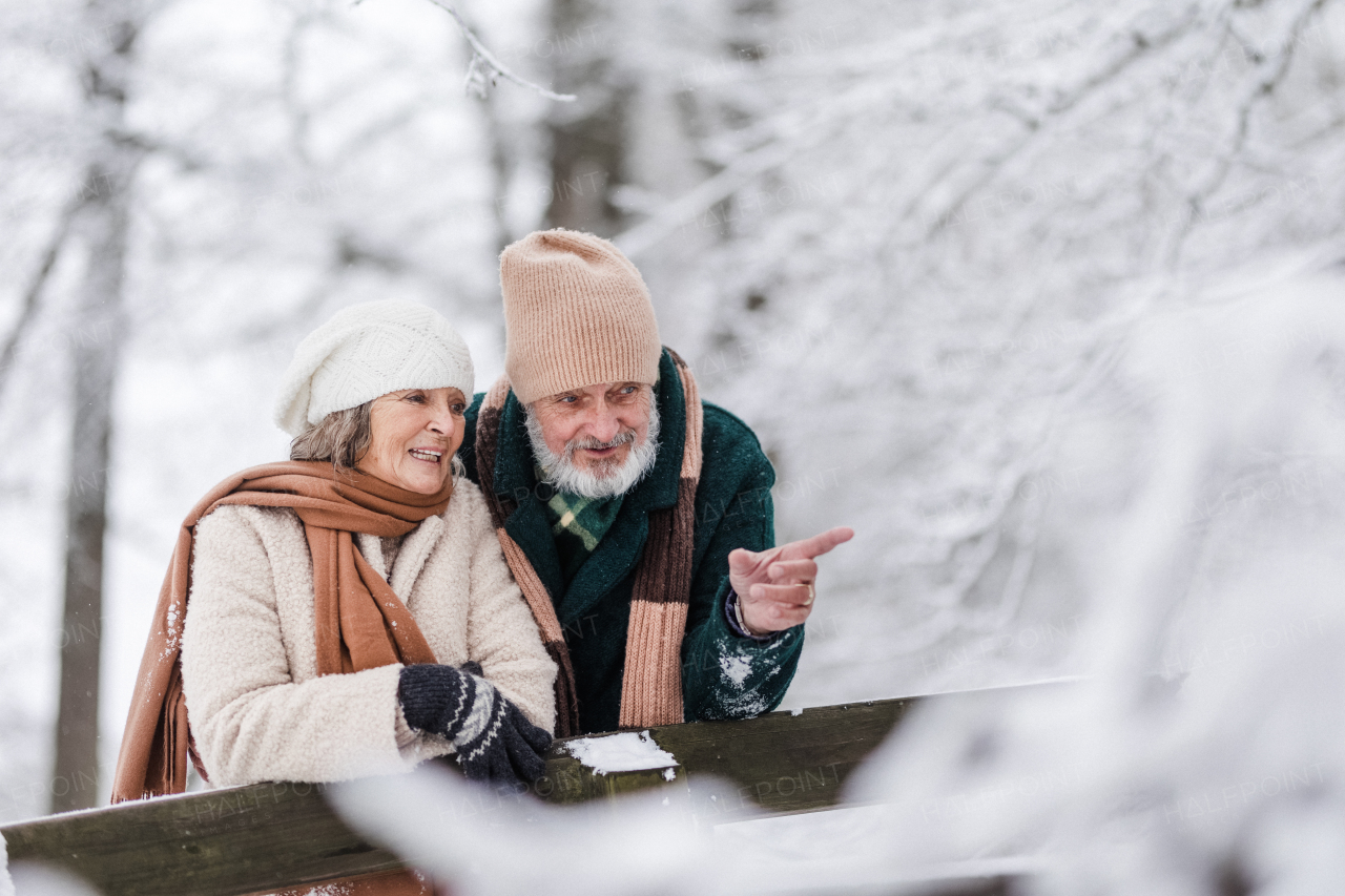 Elegant senior couple walking in the snowy park, during cold winter snowy day. Elderly couple enjoying view on frozen lake from bridge. Wintry landscape.