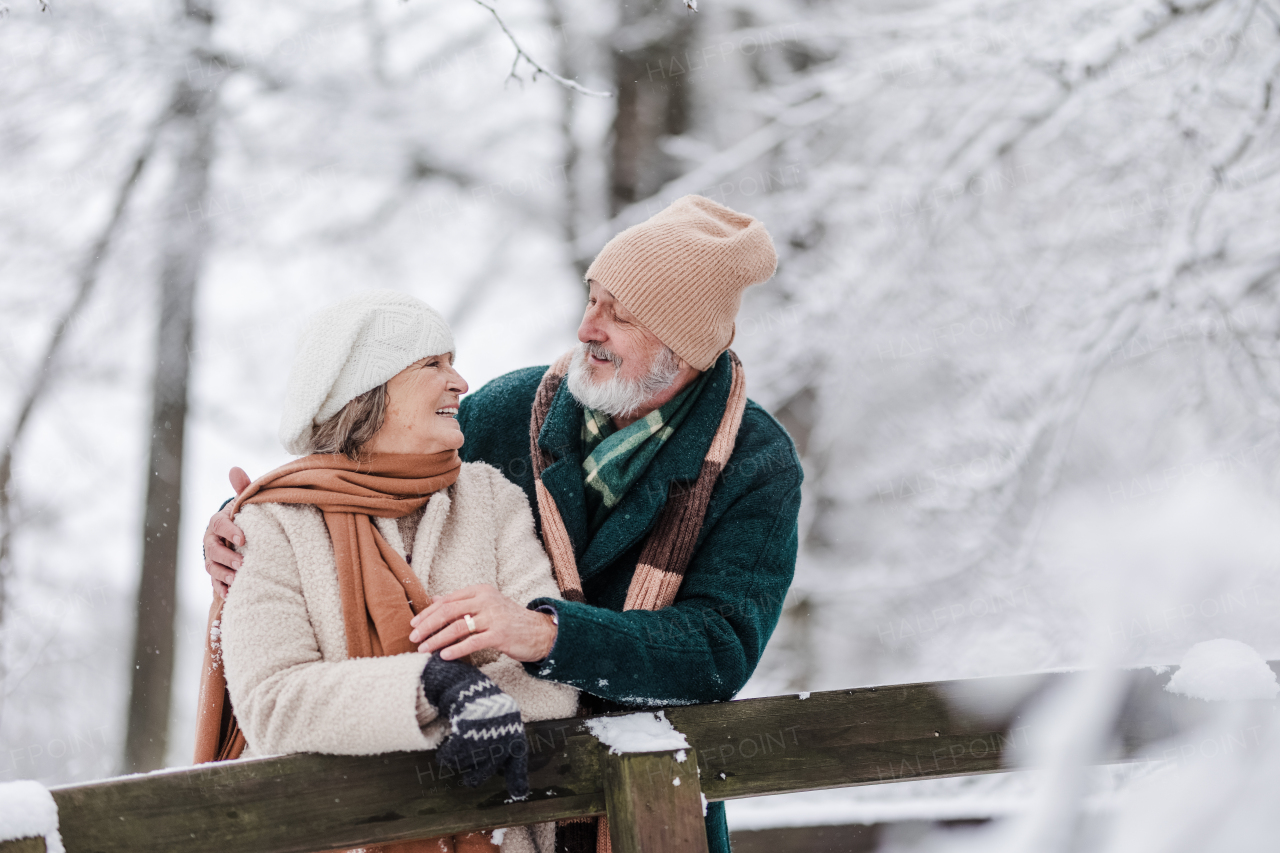 Elegant senior couple walking in the snowy park, during cold winter snowy day. Elderly couple enjoying view on frozen lake from bridge. Wintry landscape.