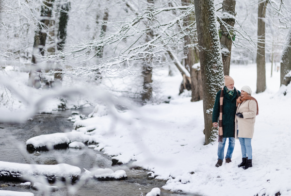 Elegant senior couple walking in the snowy park, during cold winter snowy day. Elderly couple spending winter vacation in the mountains. Wintry landscape.