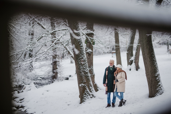 Elegant senior couple walking in the snowy park, during cold winter snowy day. Elderly couple spending winter vacation in the mountains. Wintry landscape.