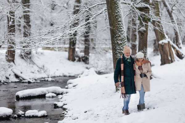 Elegant senior couple walking in the snowy park, during cold winter snowy day. Elderly couple spending winter vacation in the mountains. Wintry christmas landscape.