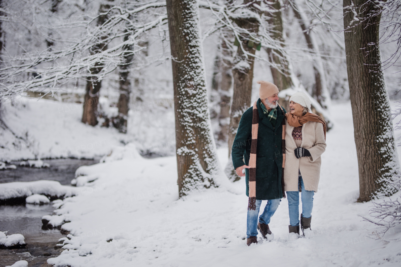 Elegant senior couple walking in the snowy park, during cold winter snowy day. Elderly couple spending winter vacation in the mountains. Wintry landscape.