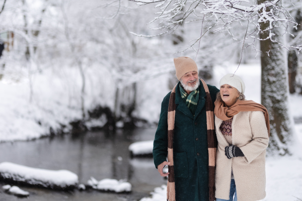 Elegant senior couple walking in the snowy park, during cold winter snowy day. Elderly couple spending winter vacation in the mountains. Wintry landscape.