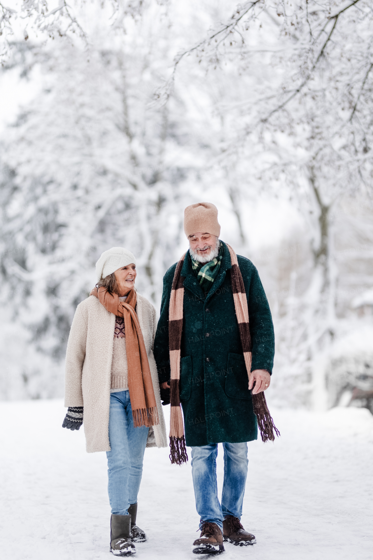 Elegant senior couple walking in the snowy park, during cold winter snowy day. Elderly couple spending winter vacation in the mountains. Wintry landscape.