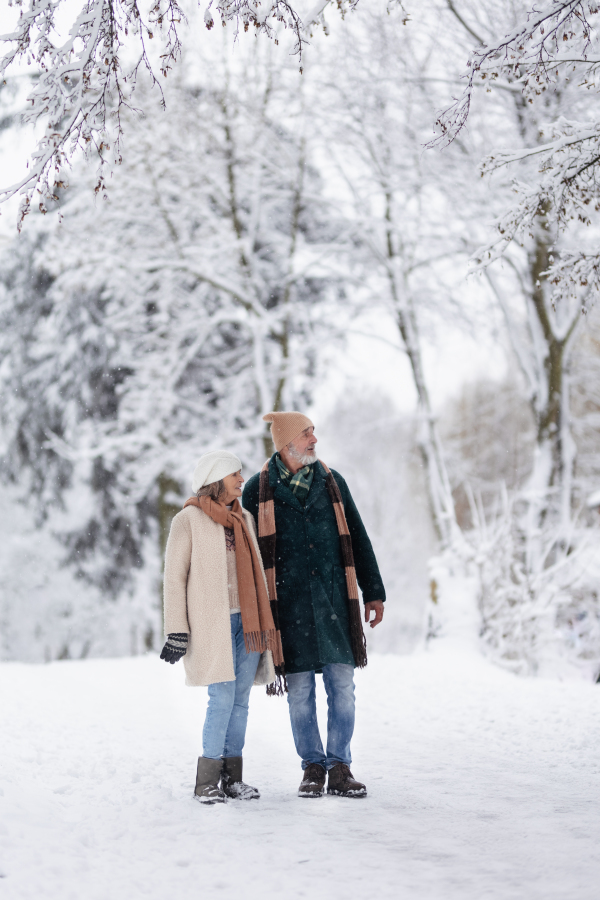 Full body portrait of elegant senior couple walking in the snowy park, during cold winter snowy day. Elderly couple spending winter vacation in the mountains. Wintry christmas landscape.