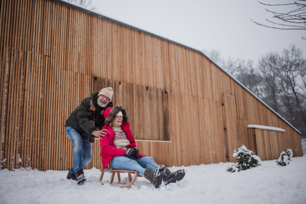 Senior couple having fun during cold winter day, sledding down the hill. Elderly couple spending winter vacation in the mountains. Wintry landscape.