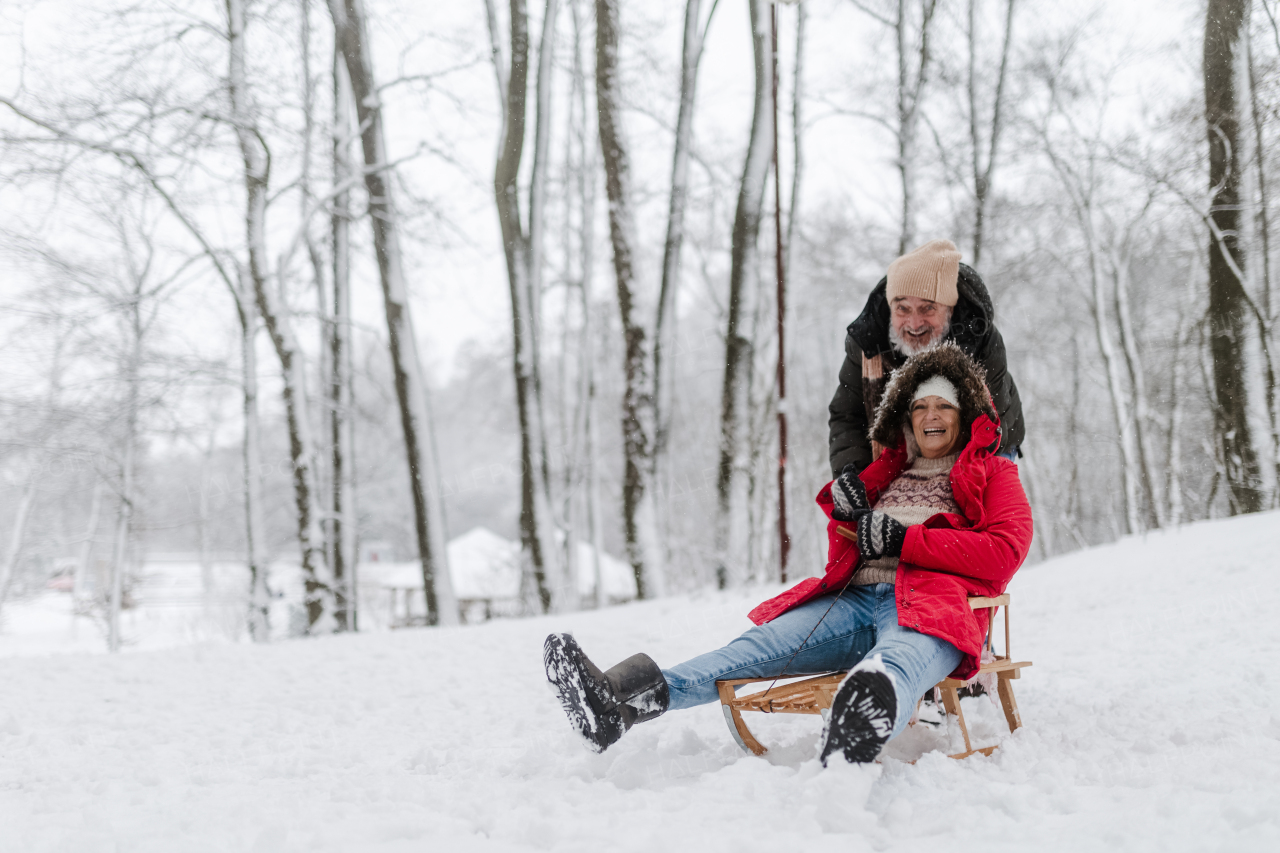 Senior couple having fun during cold winter day, sledding down the hill. Senior woman in red coat on sled. Elderly couple spending winter vacation in the mountains. Wintry landscape.