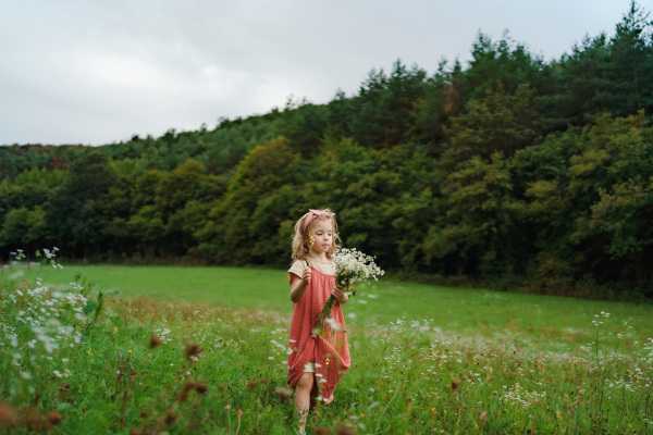 Little girl in a summer dress picking flowers at meadow.