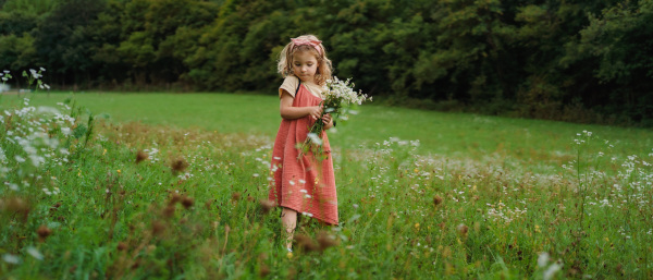 Little girl in a summer dress picking flowers at meadow.