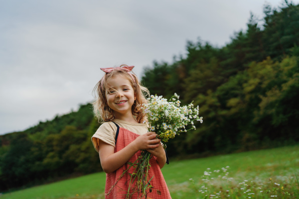 Little girl in a summer dress picking flowers at meadow.