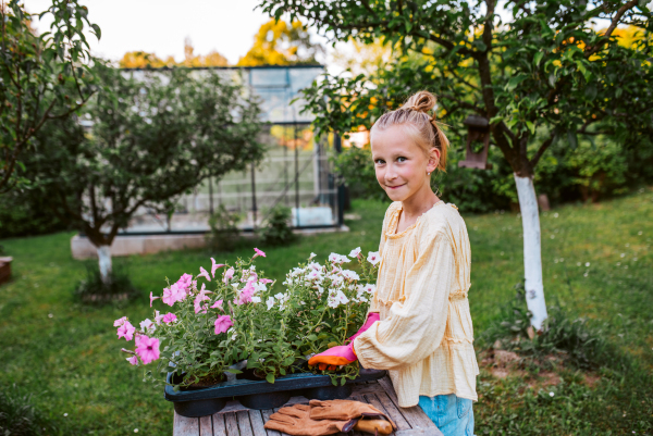 Young girl replanting flower seedlings from tray. Taking care of garden and planting spring flowers.