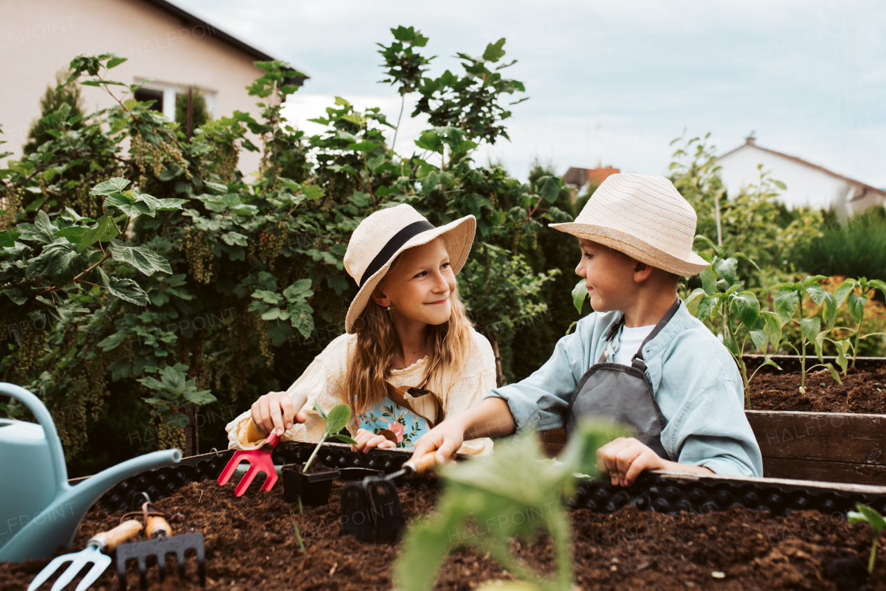 Siblings, girl and boy taking care of small vegetable plants in raised bed, holding small shovel. Childhood outdoors in garden.