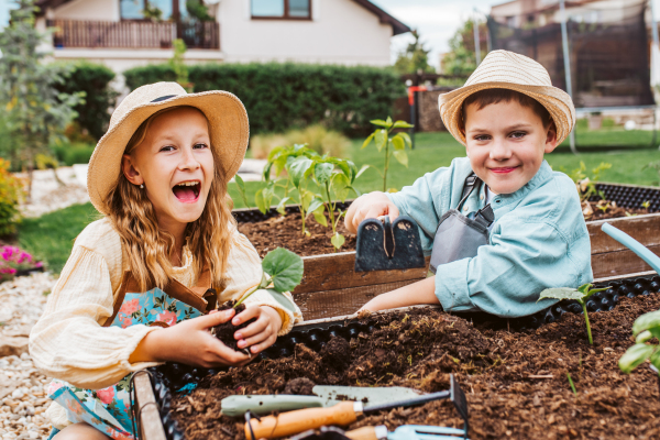 Siblings, girl and boy taking care of small vegetable plants in raised bed, holding small shovel. Childhood outdoors in garden.