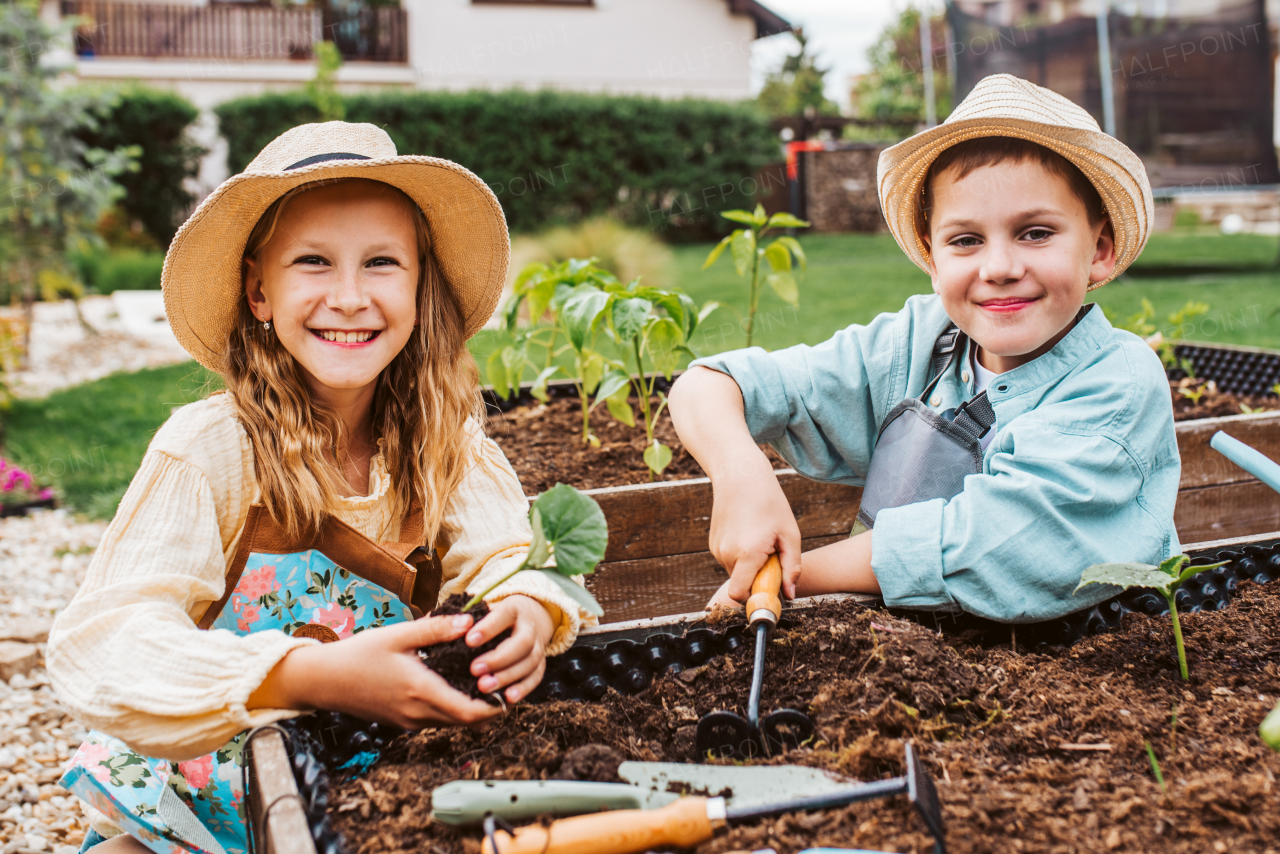 Siblings, girl and boy taking care of small vegetable plants in raised bed, holding small shovel. Childhood outdoors in garden.