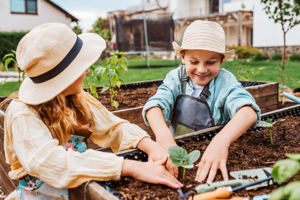 Siblings, girl and boy taking care of small vegetable plants in raised bed, holding small shovel. Childhood outdoors in garden.