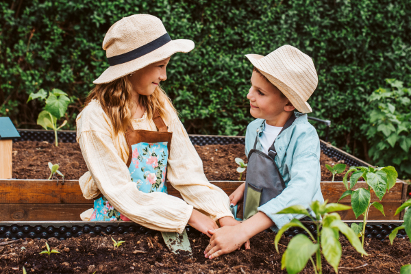 Siblings, girl and boy taking care of small vegetable plants in raised bed, holding small shovel. Childhood outdoors in garden.