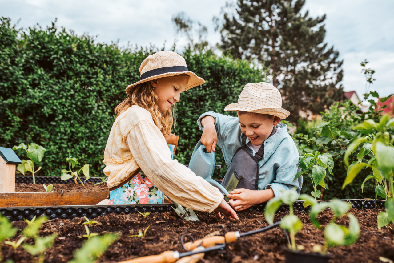 Siblings, girl and boy taking care of small vegetable plants in raised bed, holding small shovel. Childhood outdoors in garden.