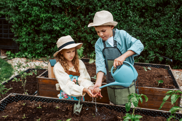 Siblings, girl and boy taking care of small vegetable plants in raised bed, holding small shovel. Childhood outdoors in garden.