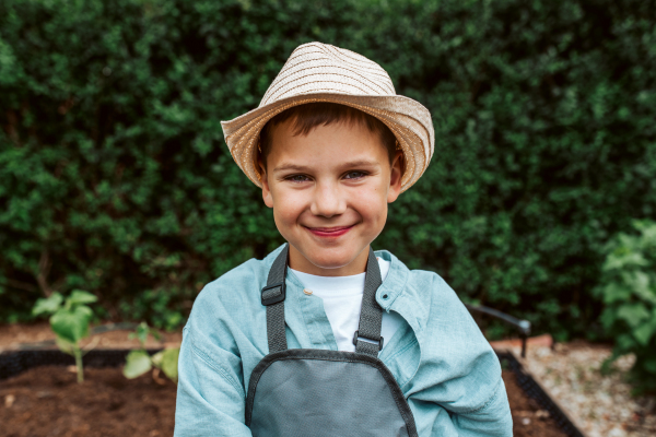 Portrait of boy in gardening apron taking care of a small vegetable plants in raised bed. Childhood outdoors in garden.