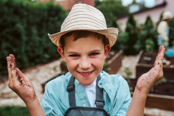 Young has dirty hands after gardening. Taking care of small vegetable plants in raised bed with bare hands. Childhood outdoors in garden.